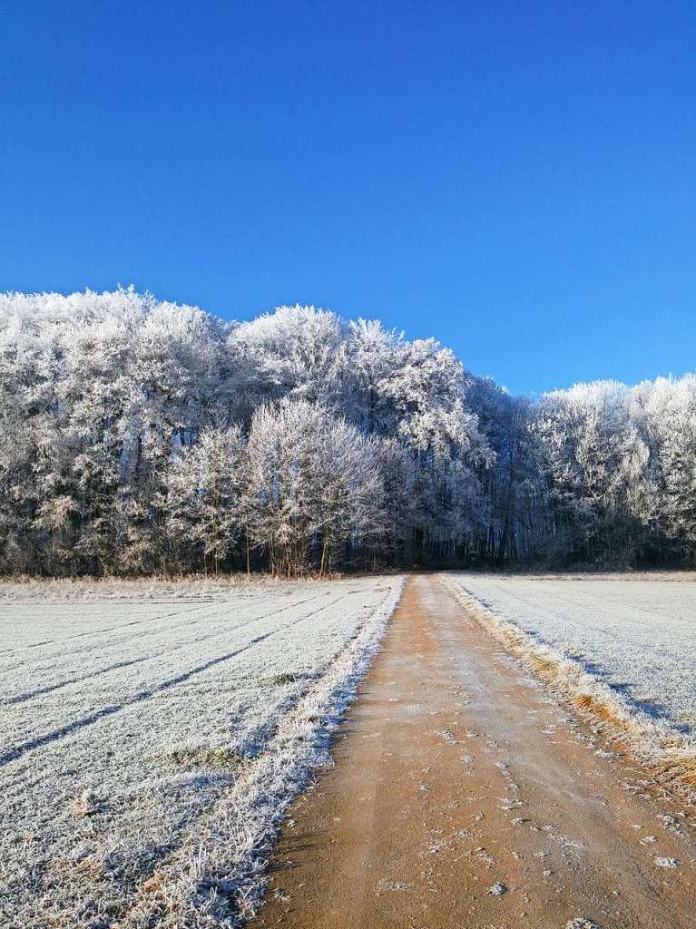 Dieses Foto wurde am Morgen des 1. Januar 2017 auf dem Tllinger aufgenommen. Es war unser erstes Silvester am neuen Wohnort und wir waren von diesem Anblick verzaubert.