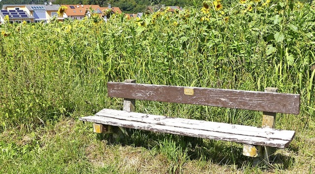 Einzelne verwitterte Bnke in Wieslet,...nter demontiert und gestrichen werden.  | Foto: Sarah Trinler