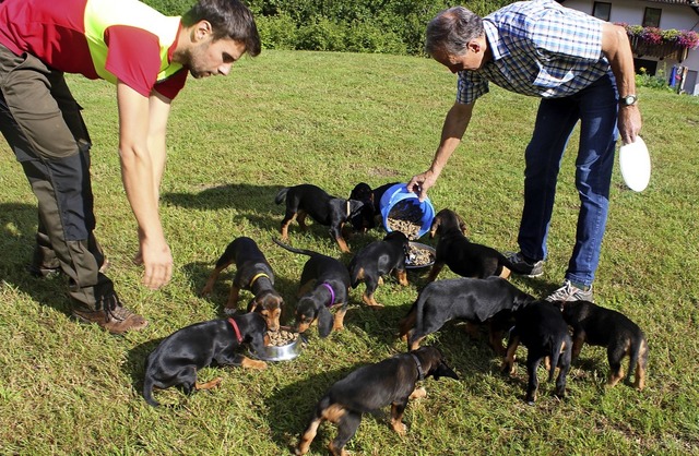 &#8222;So, sin alli do?&#8220; Hunde z...ernhof im Vorderzinken in Yach dazu.    | Foto: Bernd Fackler