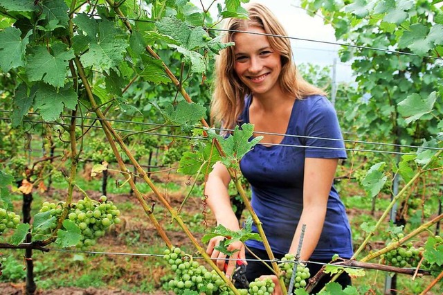 &#8222;Es war wie Liebe auf den ersten...zum Weinbau, war dann aber begeistert.  | Foto: Sabine Model