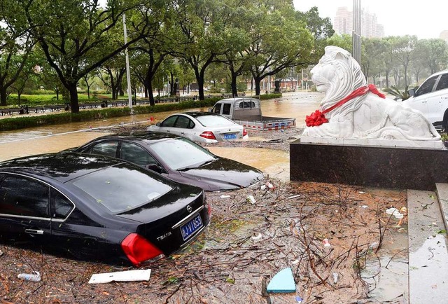 utos stehen auf einer berschwemmten S...ima das chinesische Festland erreicht.  | Foto:  (dpa)