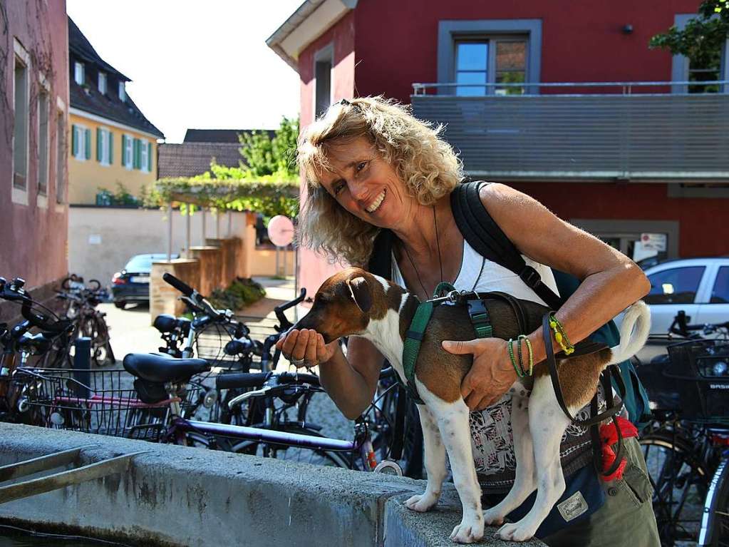 Traumhaftes Wetter und ein reichhaltiges Angebot luden zum Schlendern, Bummeln und sich gemtlich Unterhalten auf den traditionellen Markt in Ehrenstetten.