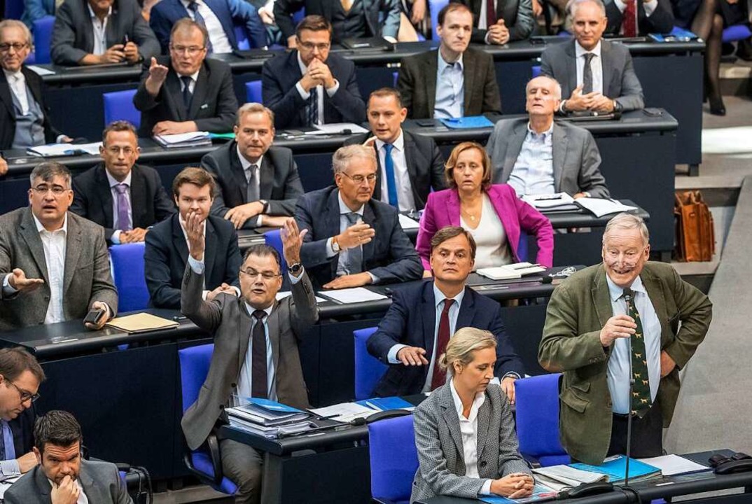 &#8222;Die AfD hat Beschimpfungen und ...drun Kmper &#8211; auch im Bundestag.  | Foto: Michael Kappeler