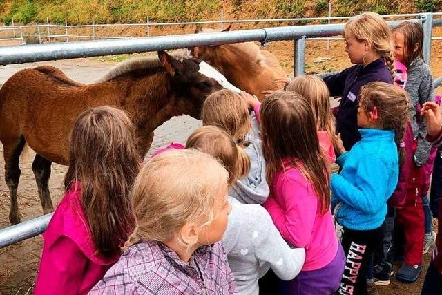 Fotos Kinderferienprogramm Bonndorf 2019
