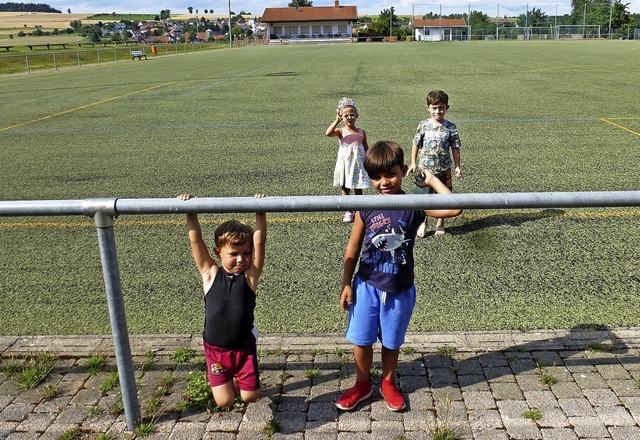 Der Kunstrasen in Reiselfingen soll saniert werden.  | Foto: Karla Scherer