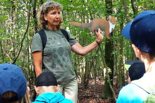 Beim Waldtag werden Pfaffenweiler Kinder fr das kosystem Wald begeistert