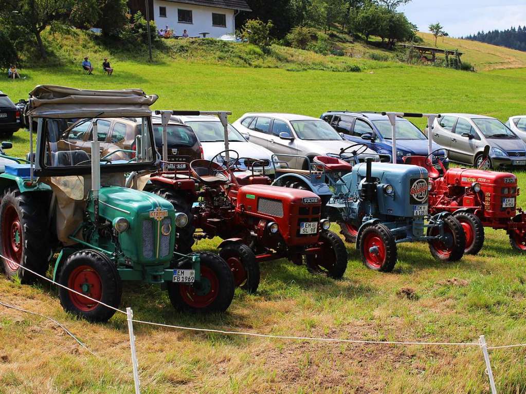 Auch vier historische Traktoren konnten beim Rossfest am Sonntag in Kohlenbach bewundert werden