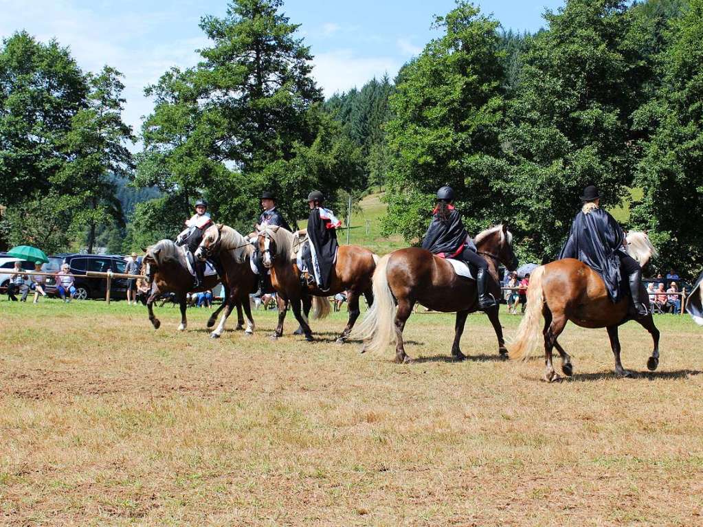 Die jungen Reiterinnen und Reiter vom gastgebenden Pferdezuchtverein Mittleres Elztal prsentierten eine gelunge Quadrille mit Vampirgewandung