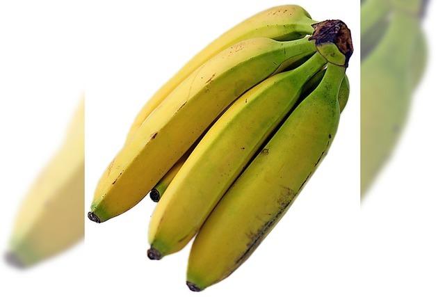 Pilz macht Bananen zu schaffen