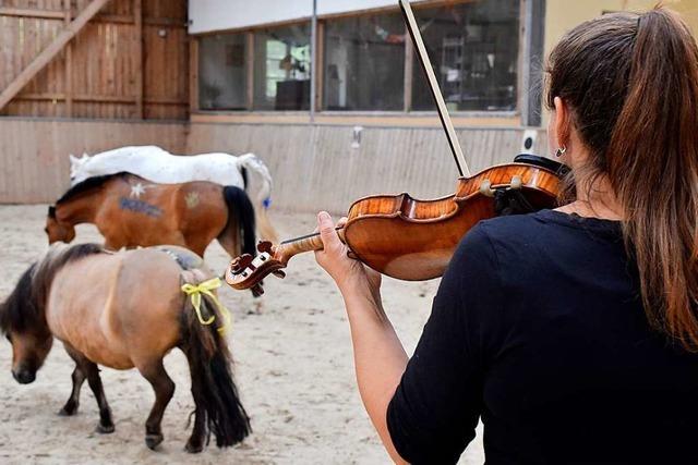 Eltern und Kinder knnen am Dienstag den Junghof in Kappel besuchen