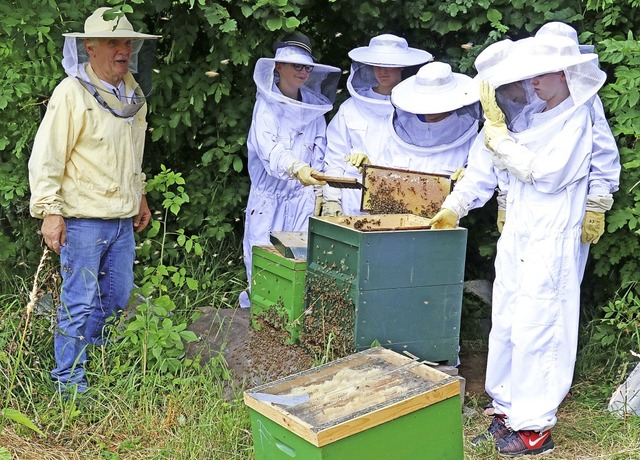 Behutsam entnehmen die jungen Imker un...inks) die Waben aus den Bienenstcken.  | Foto: Dorothe Kuhlmann