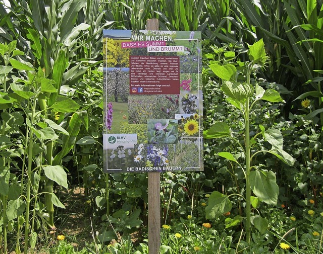 Auf dem Plakat legt der Bauernverband ...ne grere Artenvielfalt, zu belassen.  | Foto: Claudia Nopper