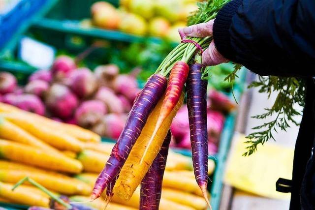 Fotos: So bunt ist der Freiburger Mnstermarkt im Herbst