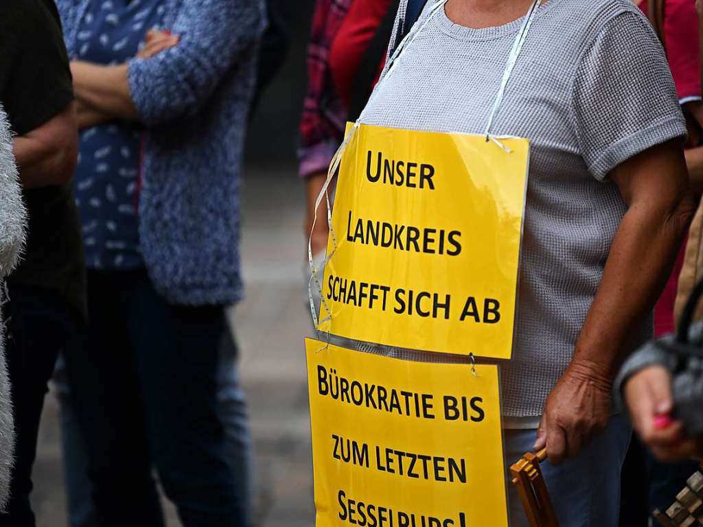 Demonstration vor dem Landratsamt in Lrrach