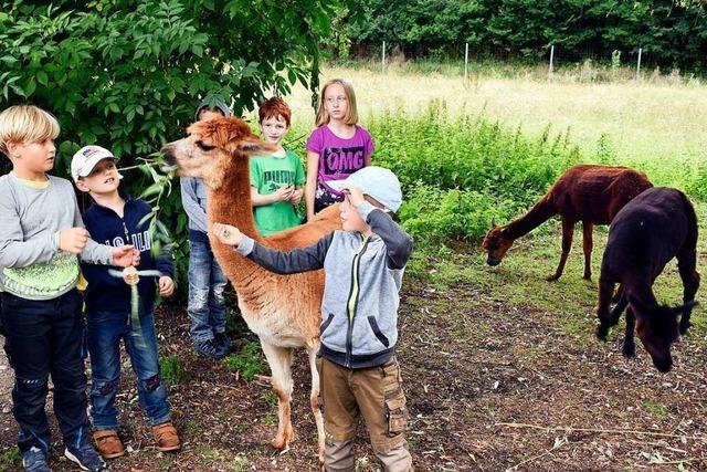 Bei den Tiererlebnistagen auf dem Mundenhof gibt es für Kinder viel zu entdecken