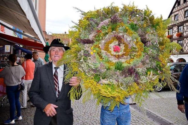 Kruterbschel mitunter bis zu zwei Meter breit