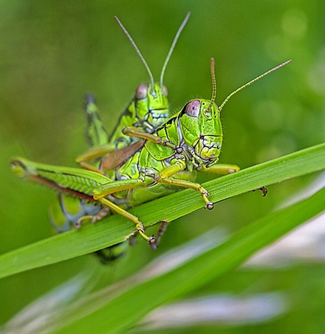   | Foto: Sebastian Schrder-Esch