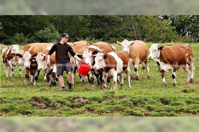 Hinterwlder sollen fr mehr Artenschutz auf dem Langenhard sorgen