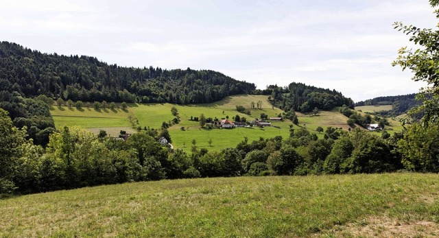 Blick vom oberen Rand des Bebauungsgeb...8222;ber dem Wldele&#8220; verbaut.   | Foto: Gabriele Zahn