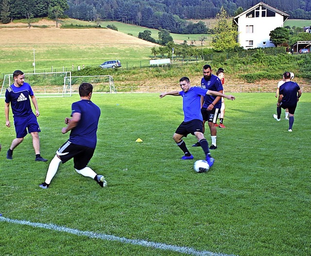 Training der 1. Herrenmannschaft des S...im Vereinsstadion am Schnwasenerhof.   | Foto: Karin Hei