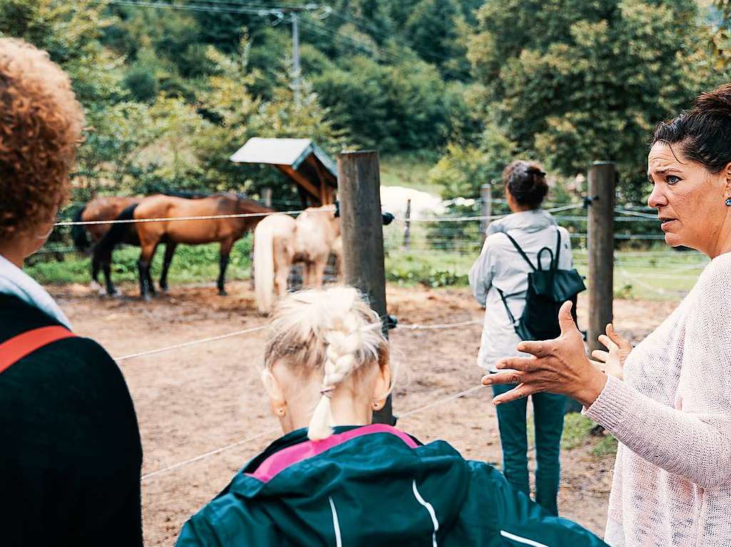 Idyllisch und viele Freiheiten fr die Tiere: der Junghof Kappel