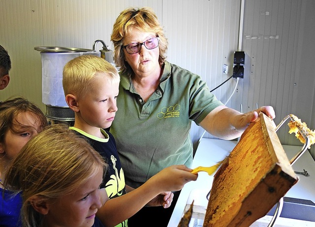 Sigrid Friedlin zeigte, wie die Waben ...vom Deckelwachs befreit werden knnen.  | Foto: Gudrun Gehr