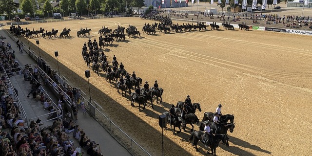 Die Weltrekord-Quadrille, geritten von...tival des Pferdesports,  in Mannheim.   | Foto: Equitana/Friederike Scheytt