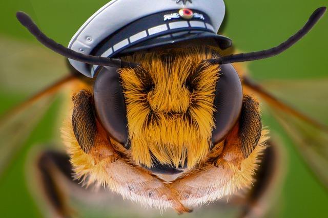 Bienen als Polizeischnffler?