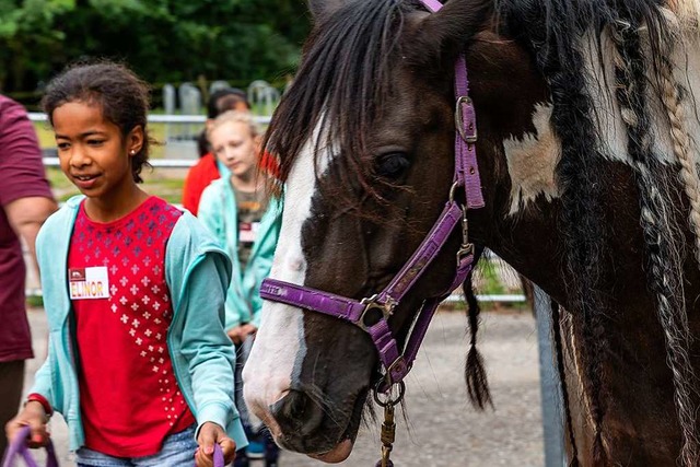 Elenor fhrt ihr Pferd auf dem Flammhof zum Ausritt.  | Foto: Hubert Gemmert