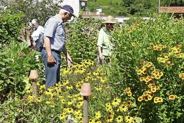 Mancher Blumenliebhaber kam nach Oberprechtal