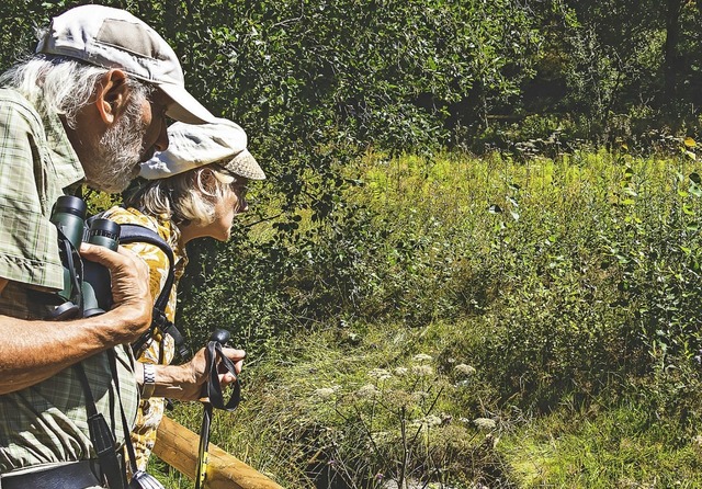 Sie kartieren Libellen  im Naturschutz...chtsee: Karl und Elisabeth Westermann.  | Foto: Wilfried Dieckmann