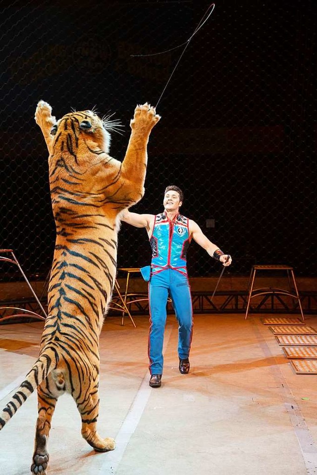 Ein Tiger im Zirkus. Tierrechtsorganis...ieren die Wildtierprogramme im Zirkus.  | Foto: privat