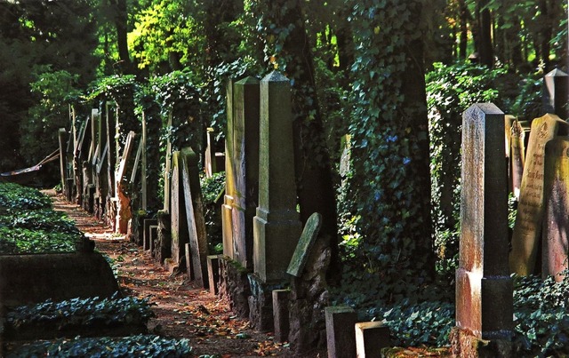 &#8222;Wilde Verlassenheit&#8220;: Jdischer Friedhof in Sulzburg   | Foto: Dorothee Philipp