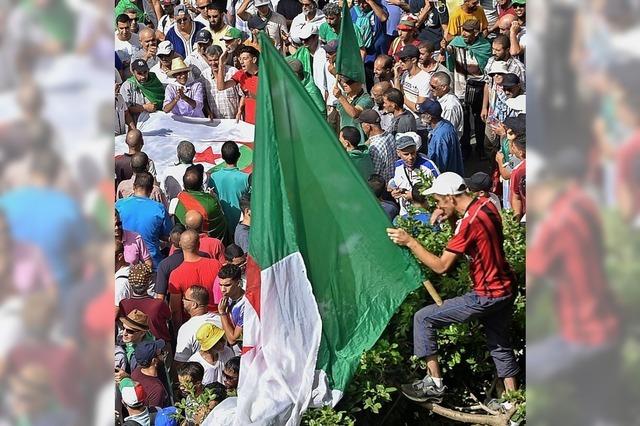 Das totale Patt in Algerien