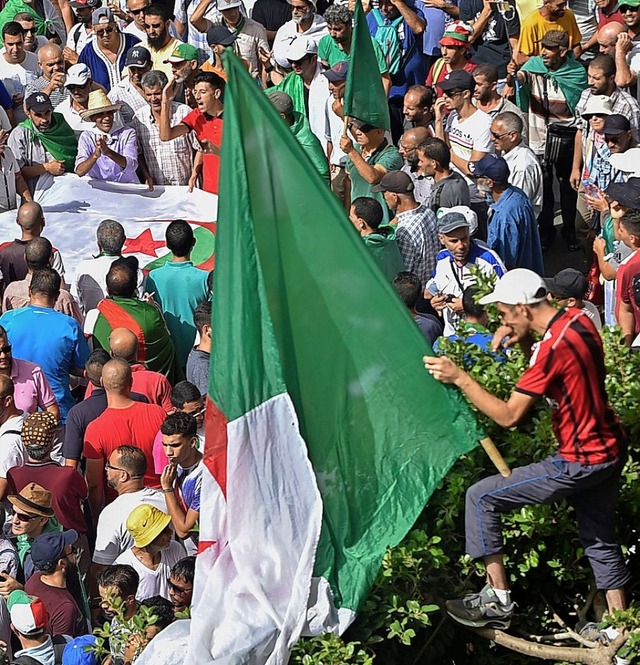 Seit Wochen demonstriert die Opposition  in Algier gegen die Militrregierung.  | Foto: RYAD KRAMDI (AFP)