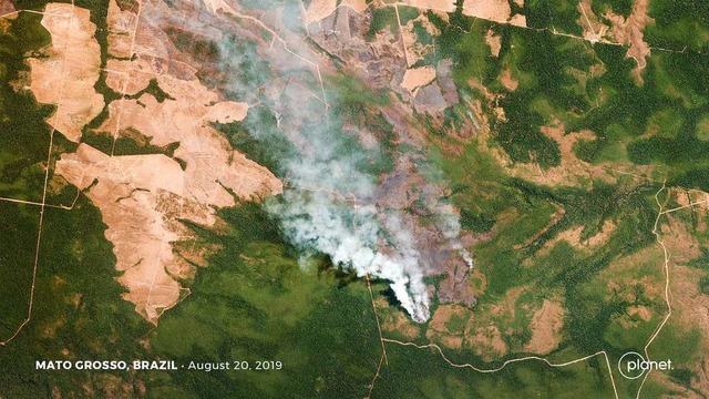 Das Satellitenbild zeigt die Brnde in...die schwersten Waldbrnde seit Jahren.  | Foto: - (dpa)