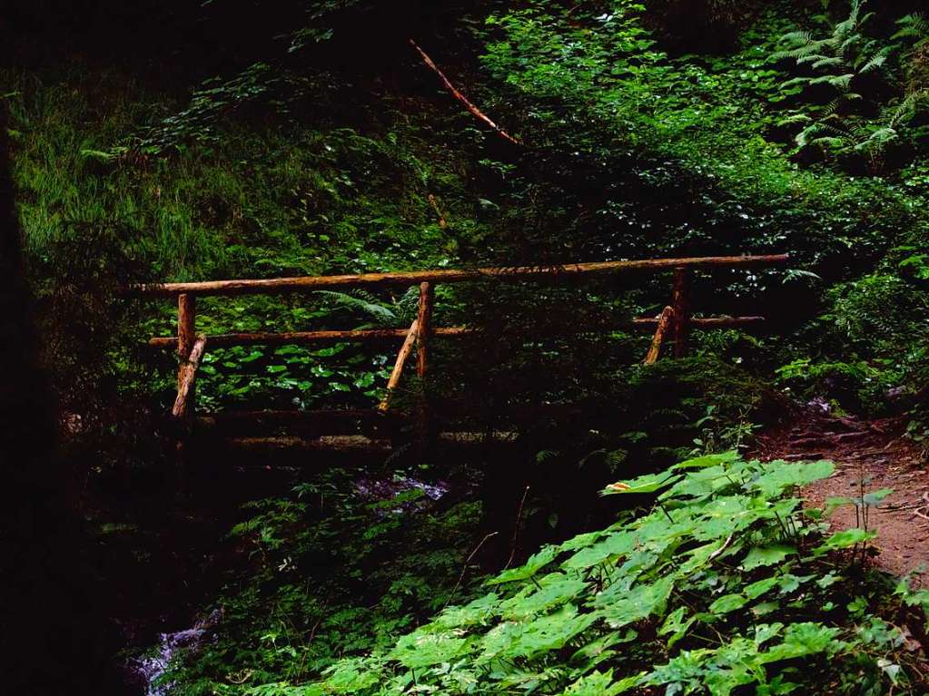 Zu sehen ist eine Holzbrcke ber einen Bachlauf in der Nhe von Westendorf in Tirol.