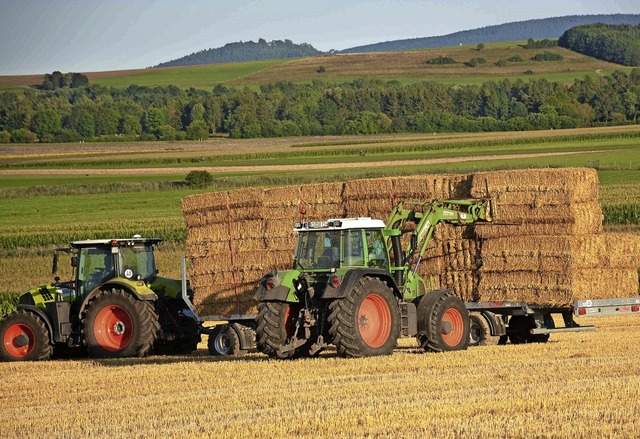 Bei schnes Wetter muss es schnell gehen mit dem Einholen der Ernte.   | Foto:  Rita Bolkart