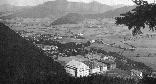 Mittendrin schon die Nhseidenfabrik G...Gutach, Bleibach und Siegelau&#8220;.   | Foto: Buch: Siehe Beschreibung