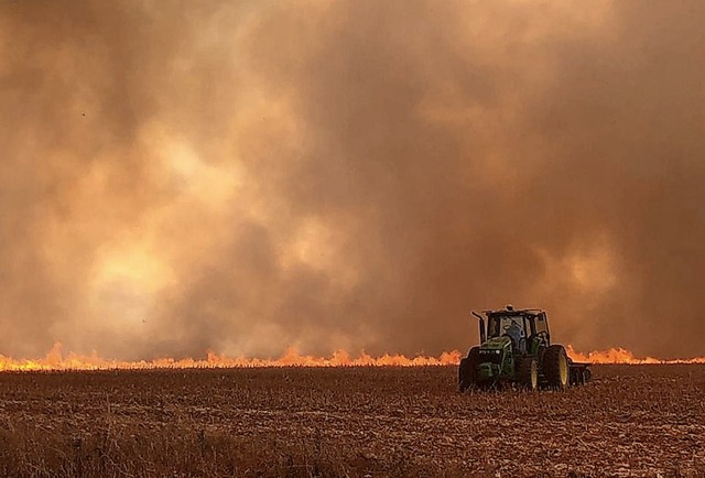 In Brasilien wten die schwersten Waldbrnde seit Jahren.   | Foto: ---