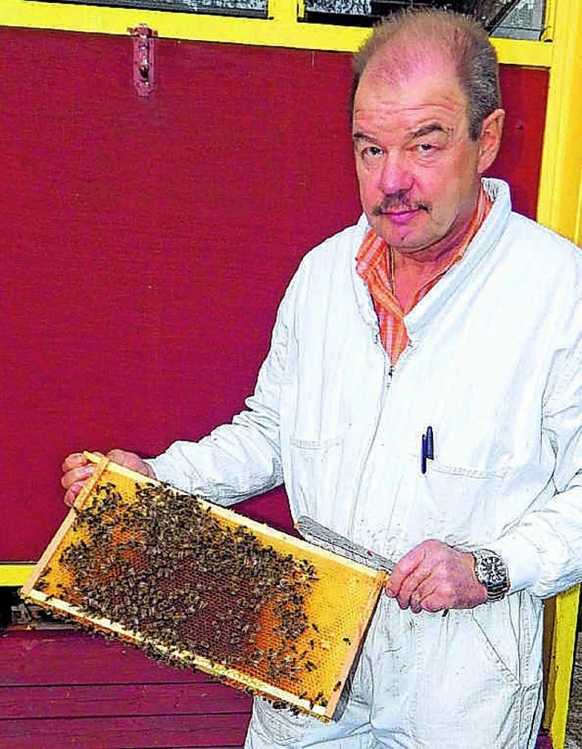 Werner Leber, Vorsitzender des Imkerve...-Tiengen, zeigt eine Wabe mit Bienen.   | Foto:  unbekannt