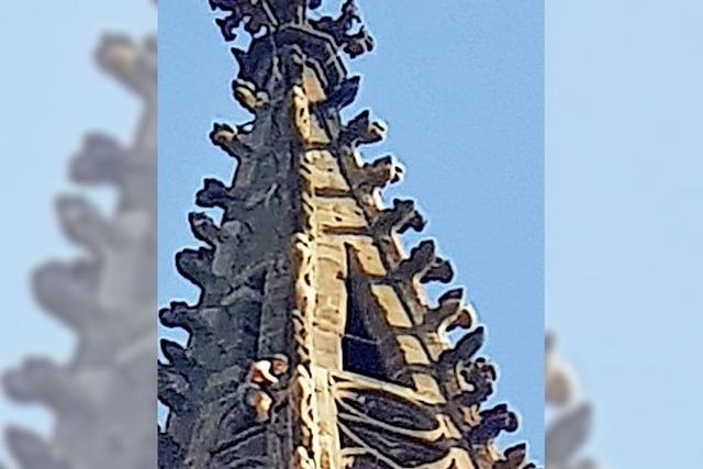 Illegale Kletteraktion am Münsterturm