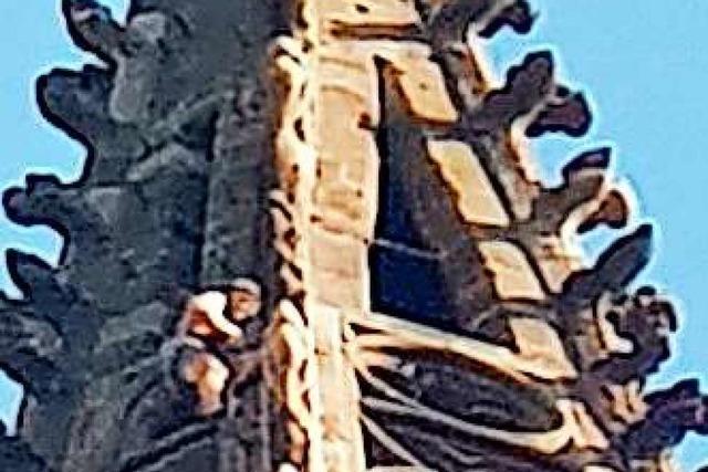 Kletterer am Münsterturm: Herr, schmeiß Hirn vom Himmel