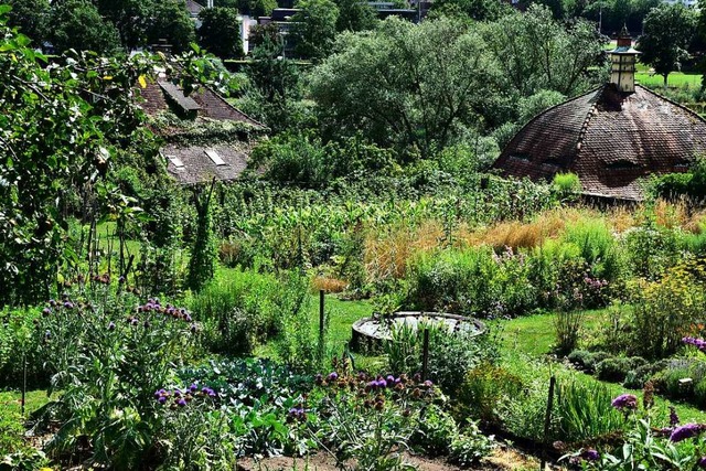 Der Garten am ehemaligen Kartuserklos...en der Stadt  besteht seit 600 Jahren.  | Foto: Thomas Kunz