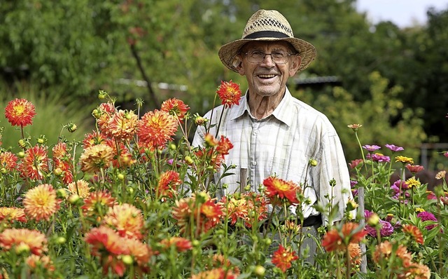 Hans Eiberle zwischen Dahlien und Zinnien.   | Foto: Christoph Breithaupt