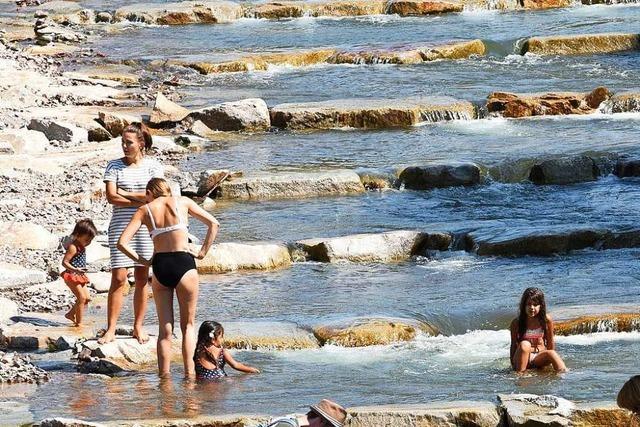 Fr Wasserliebhaber ist die Fischtreppe in der Dreisam ein Segen