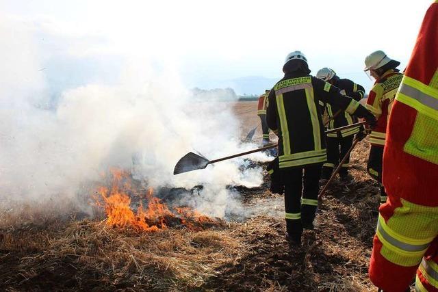 Mit Spaten und Hacken statt viel Wasser: Wie die Feuerwehr Vegetationsbrnde richtig lscht