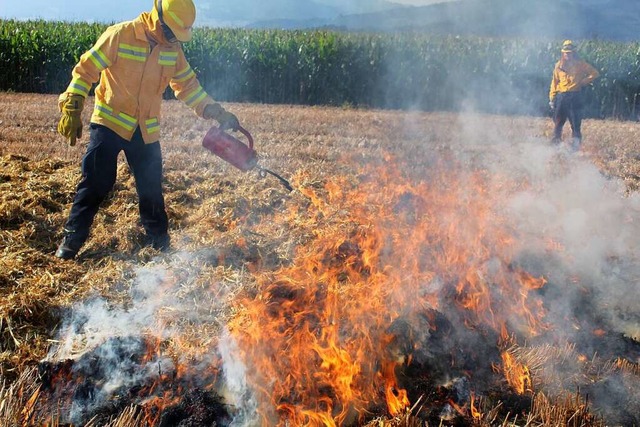 Damit gebt werden kann, muss das Feld erstmal in Brand gesteckt werden.  | Foto: Erich Krieger