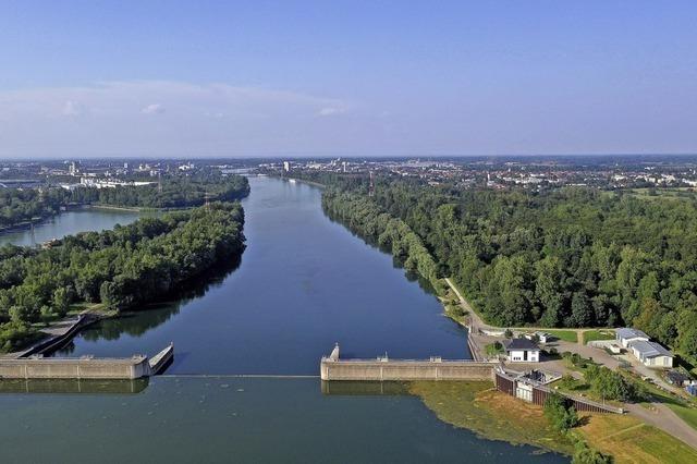 Genug Wasser im Rhein