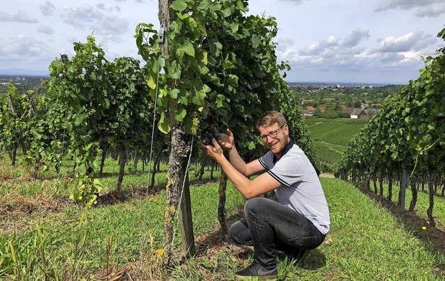 Matthias Wolf, Geschftsfhrer des sta...nguts Schloss Ortenberg, in den Reben.  | Foto: Wrth/Stadt Offenburg